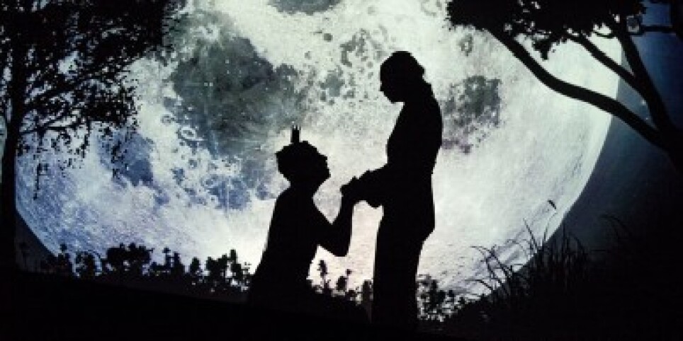 La princesse est le chevalier - Steven Matthews - Théâtre et arts vivants