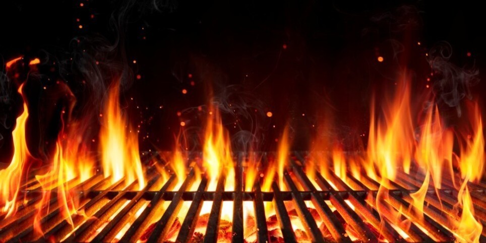 Essens‑Vorbestellung – 15‑jähriges Jubiläum Rugby Club Morges (9. Mai 2026) - Familie