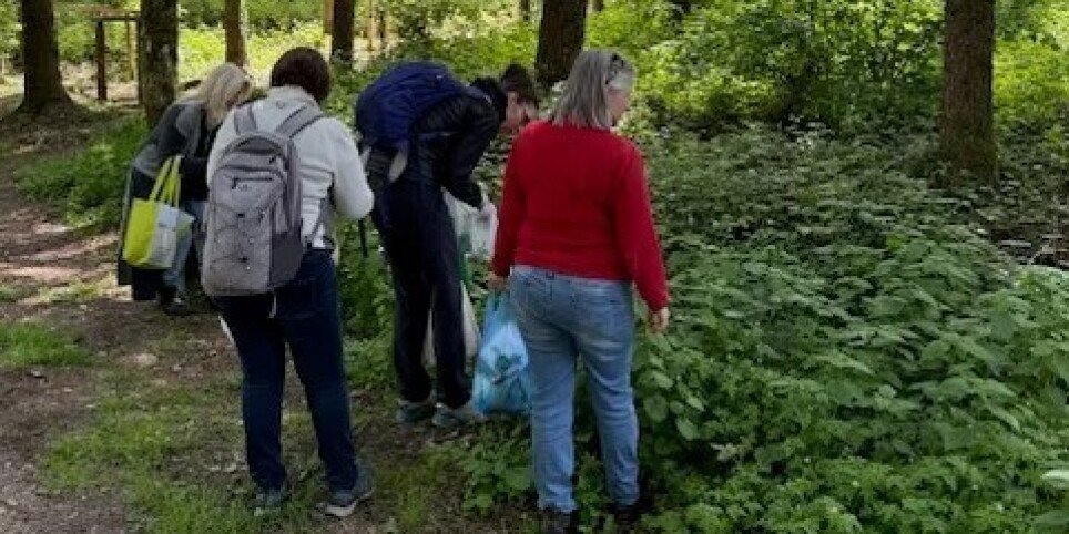 Cueillette et cuisine de plantes sauvages - Ateliers et stages