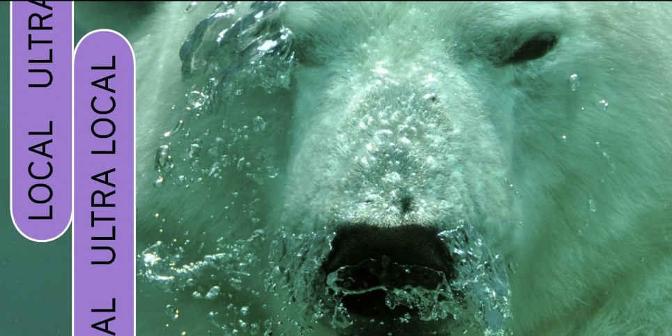 Polar - Théâtre et arts vivants