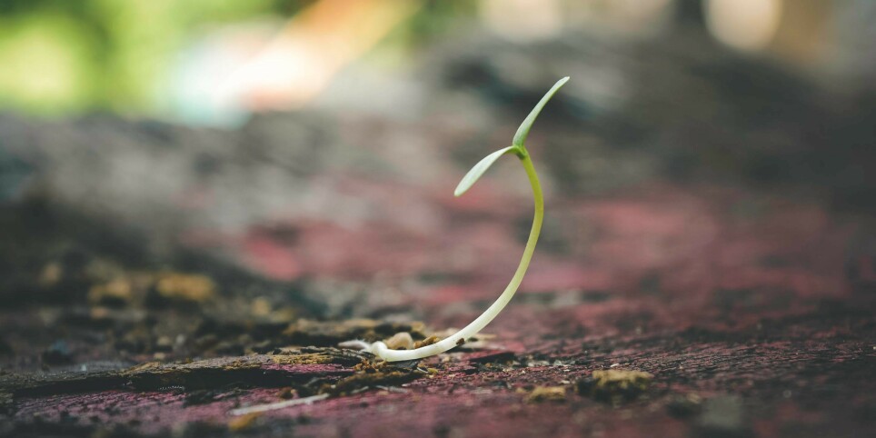 Semons des graines… – Atelier « semis » du printemps (dès 7 ans) avec les Jardins éducatifs de la Côte - Ateliers et stages