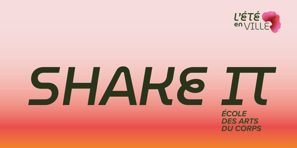 Shake It - Workshop e stage