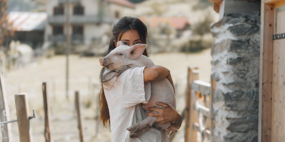 L’animal comme ressource ? Perspectives paysannes et artistiques - Table ronde - Conférences