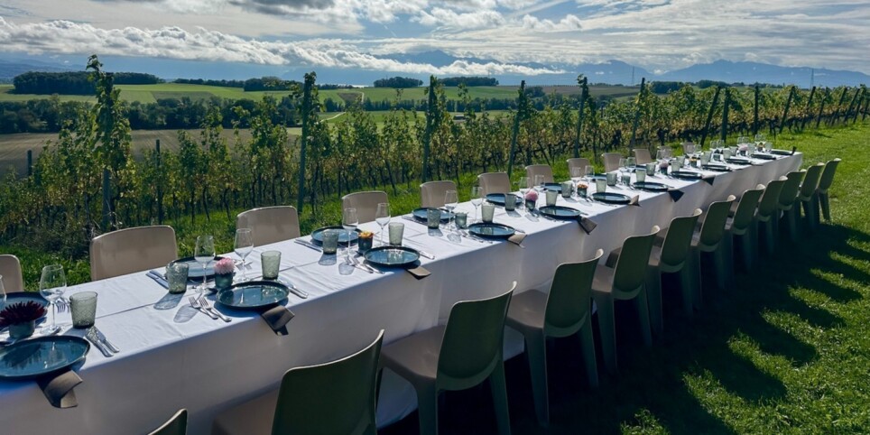 Brunch - La grande tablée du dimanche - Leisure activities