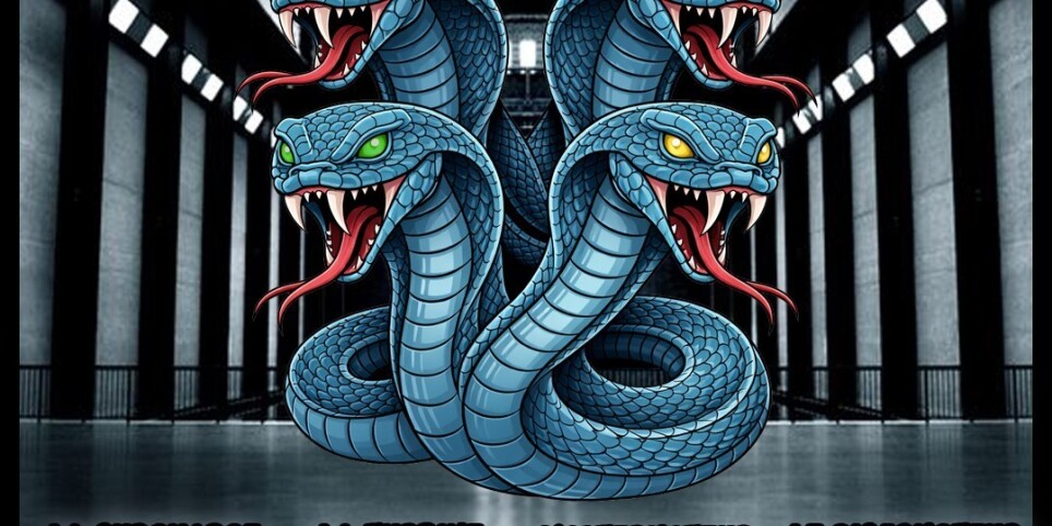 Usine A Tek II - Festivales