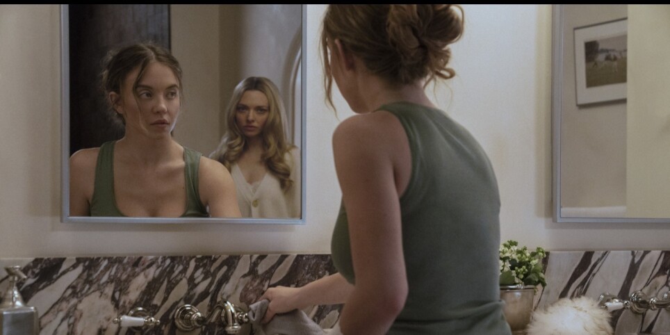 The Housemaid - Kino