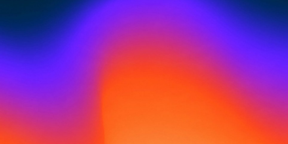 LE NOEL DE L'ARBRE - Culture and shows