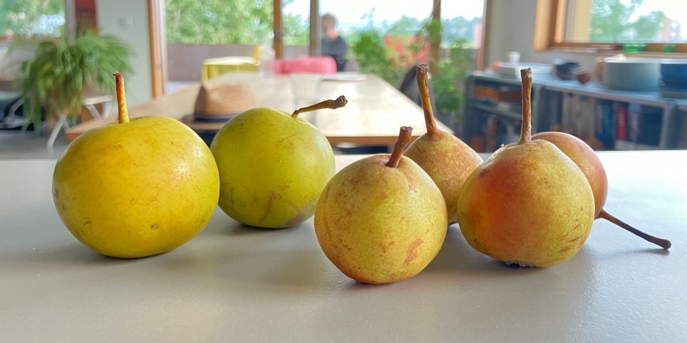 Cuisiner comme à la maison - Workshops and courses