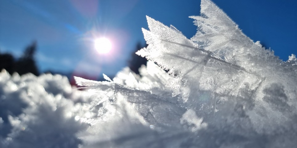 Le manteau de neige - Festivals