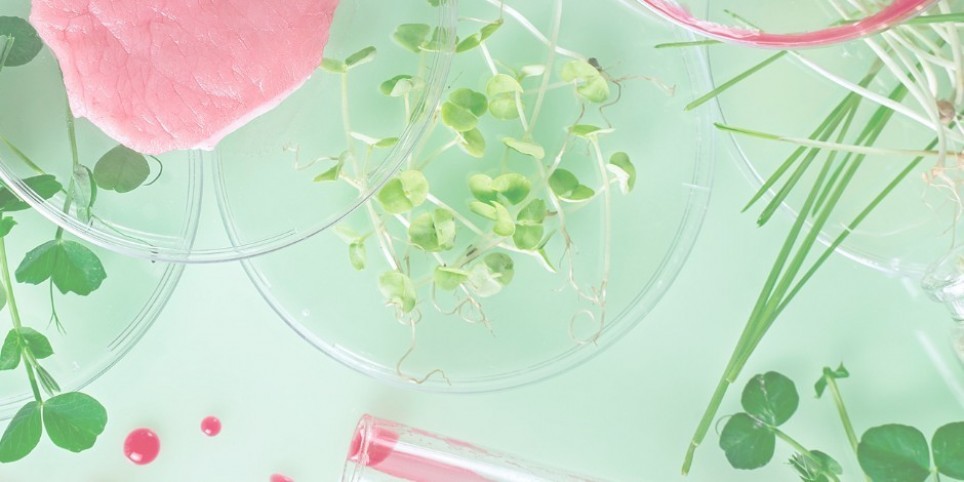 VUTURUM 2025 - Conférences