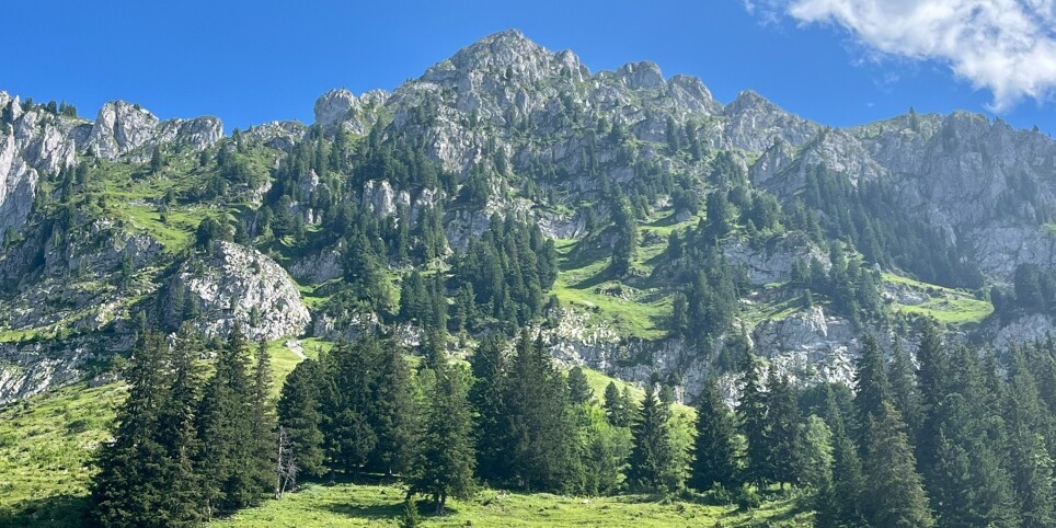 La petite bête qui monte sur les sentiers - Matinée avec les insectes - Freizeitbeschäftigungen