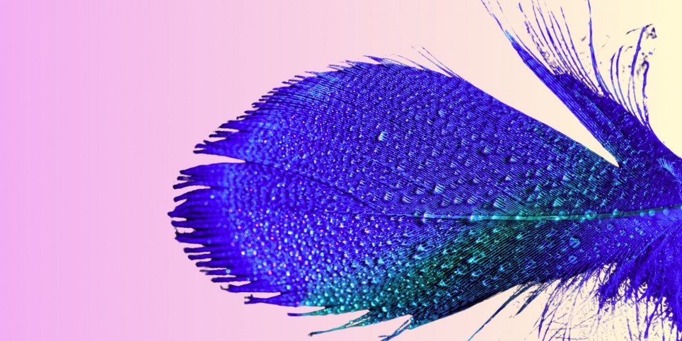 Atelier d'écriture - «Lettre et écriture de soi» - Workshops und Praktika