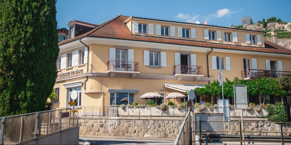 DEGUSTATION DES CEPAGES D'ICI : LE PLANT ROBERT - Loisirs