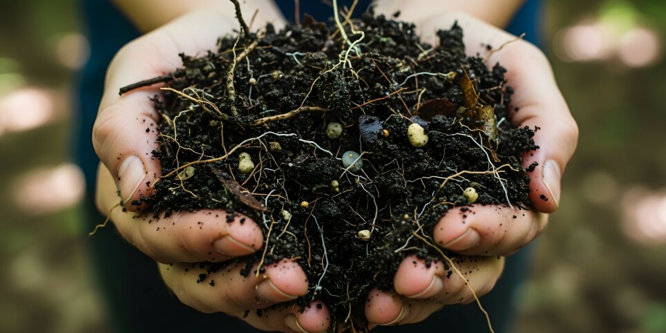 Bioscope - Sols vivants - Workshops and courses