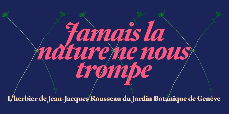 Rousseau aux Enchères - Conférences