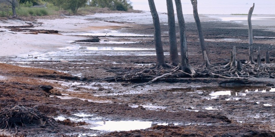 Dans le décor de La couleur des choses - Théâtre et arts vivants