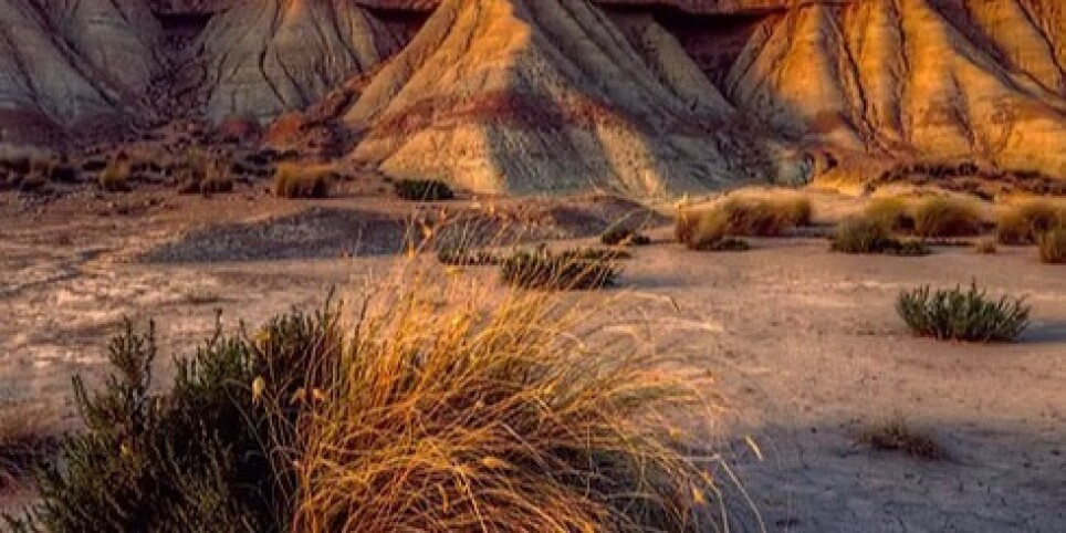 NAVARRA-ARAGÓN Bardenas Reales y alrededores. - Sport