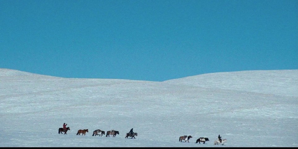 La nuit de la pleine lune - Cinéma
