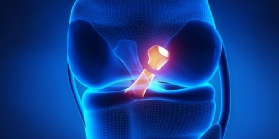 Rééducation du Ligament Croisé Antérieur (LCA) - Formations