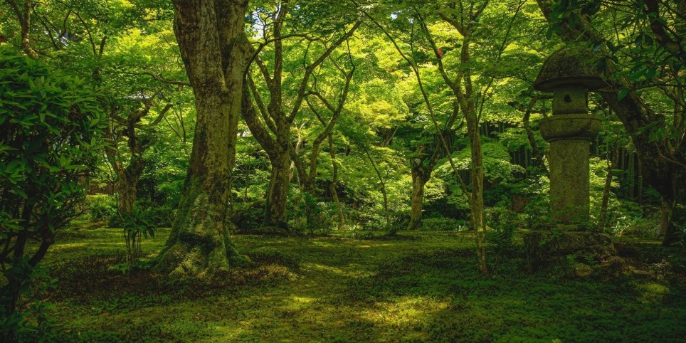 Pierre Gilbert à la Maison de l'Avenir - Conférences