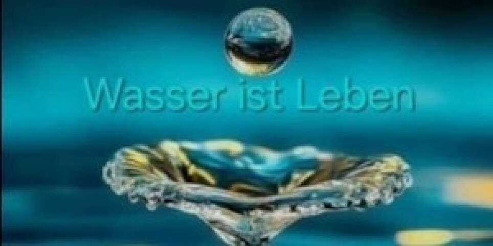 Lifestyle Meeting Live - Konferenzen