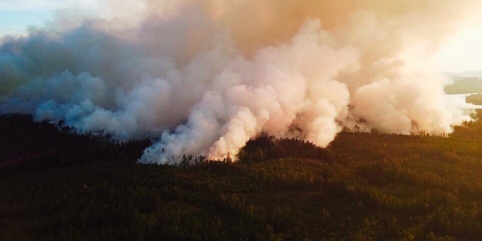 Festival Luzern - Fire, Water, Earth, Air - Cinema
