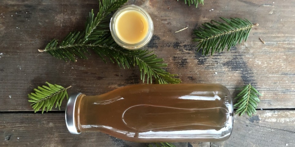 Die Tugenden unserer Wälder - Freizeitbeschäftigungen