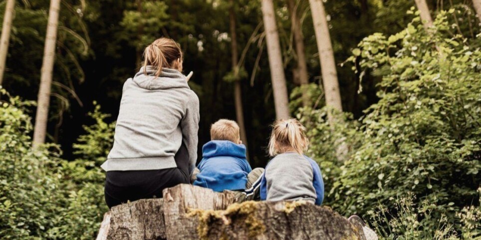 Cycle thématique - Comment parler d'écologie à nos enfants ? - Ateliers et stages
