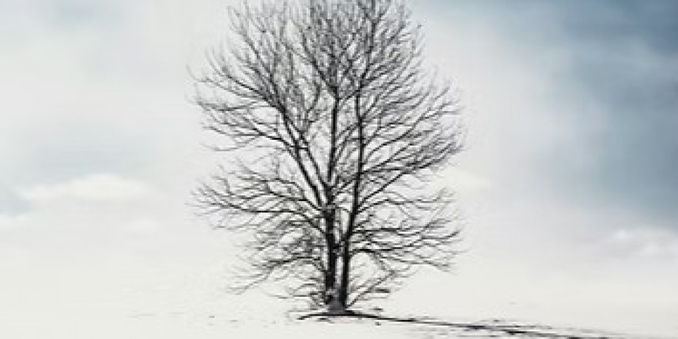 Mercredis du conte - « D'hiver et de neige  » - Théâtre et arts vivants