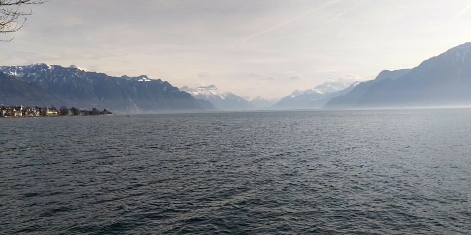 Explorer son esprit grâce au Clean Language - 5 premiers jours d'une formation certifiante - Schulungen