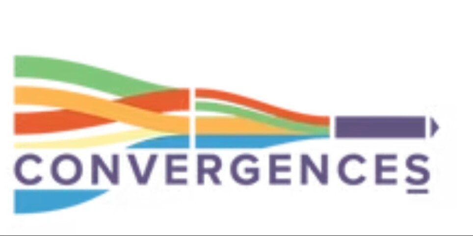 Atelier CONVERGENCES inter-organisations Genève 19.03.26 - Ateliers et stages