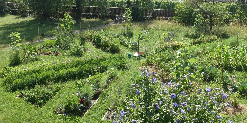 Jardiner en permaculture - Module 4 - Entretenir son jardin - Formations