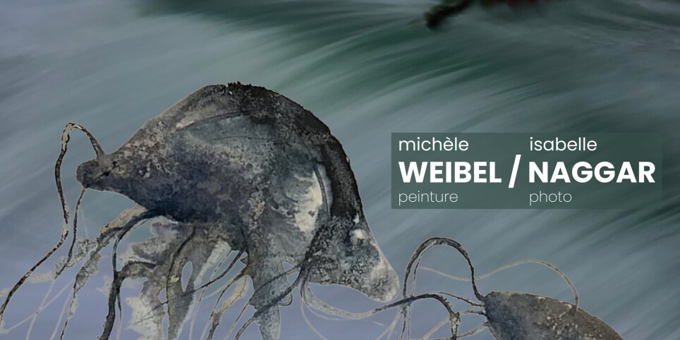 Pixel & Grain de Sel - Exhibitions and museums