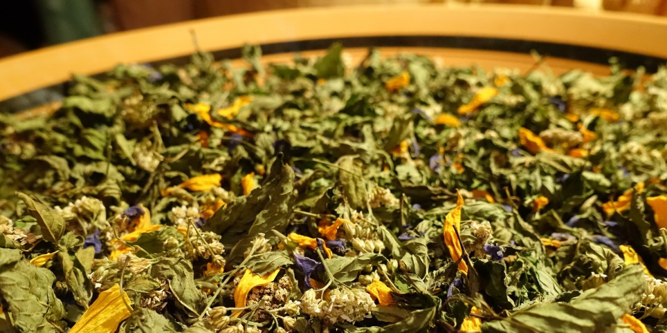 Cultiver et transformer les plantes médicinales - Module 3 - Transformation et conservation - Training courses