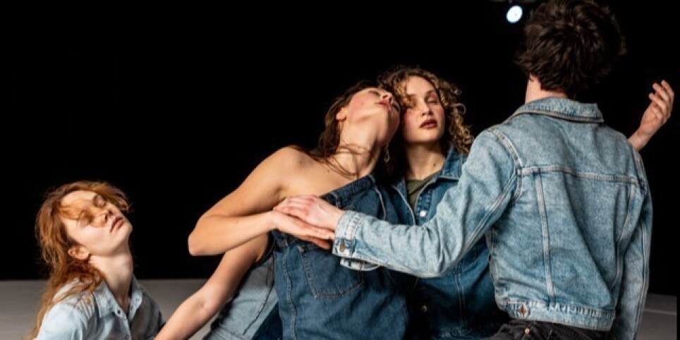 MARCHEPIED Cie - Theatre and performing arts