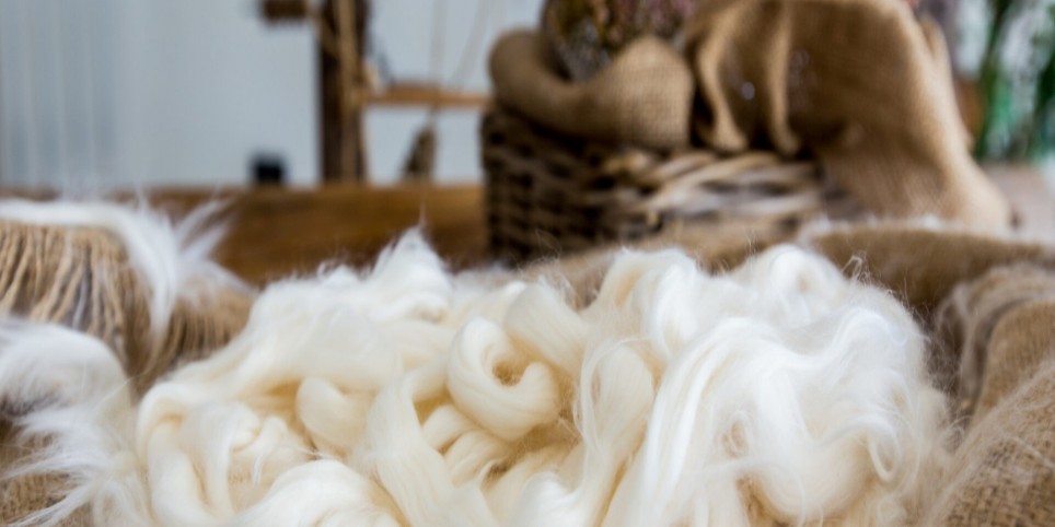 Atelier laine (coloration naturelle) - Workshops and courses