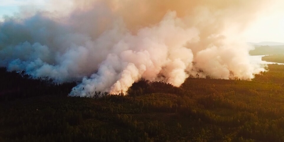 Festival St. Gallen - Fire, Water, Earth, Air - Cinema