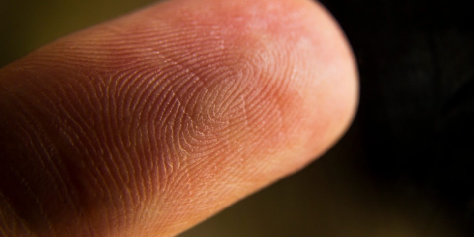 Atelier pédagogique - L'être humain est unique - Workshops and courses