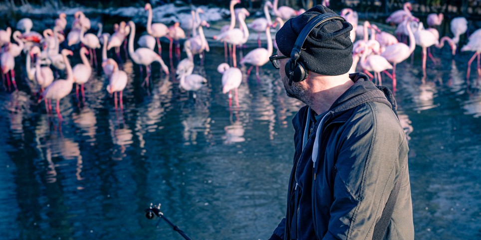 Screening & concert: Melodies in My Head - Concerts