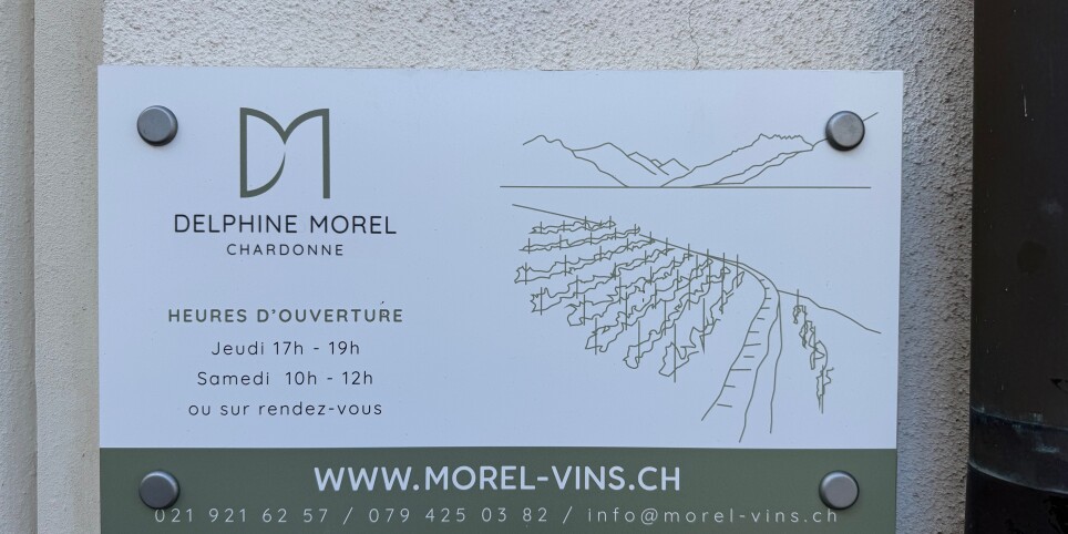 DEGUSTATION DES 7 VINS D'ICI : Delphine Morel Chardonne - Svaghi