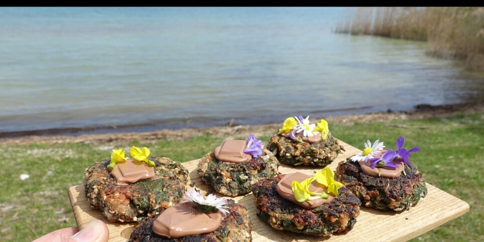 Soirée cueillette et méditation du cœur - Ateliers et stages