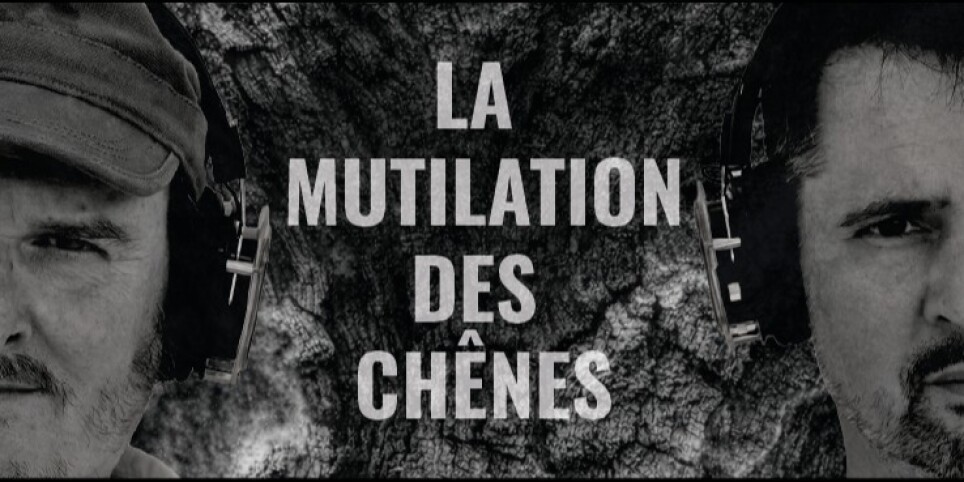 La Mutilation des Chênes - Theater und Bühnenkunst