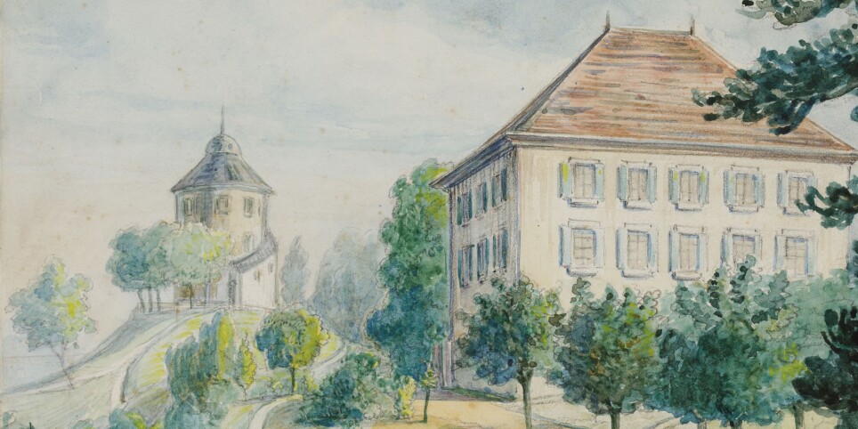 Atelier de dessin d'observation - Ateliers et stages