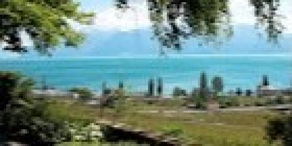 DEGUSTATION DES VINS D'ICI - Svaghi