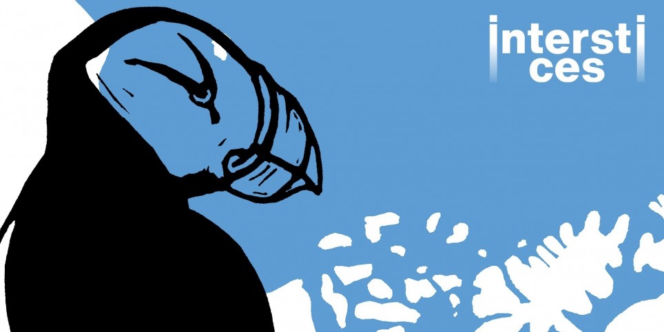 Interstice #3 - Exposition "À travers la glace" · Fanny Kopp - Exhibitions and museums