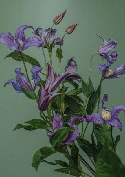 Vêpres de Rachmaninov - Klassische musik - Eglise St-François