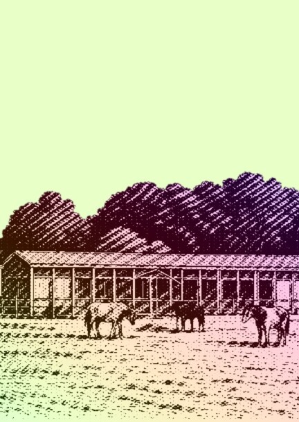 Promenade botanique à Lancy - Balades et visites - La Gavotte