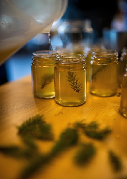 Les vertus de nos forêts - Workshops und Praktika