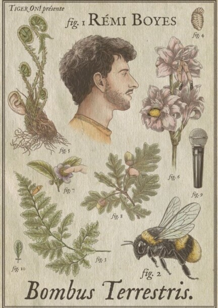 Rémi Boyes - Humour et comédie