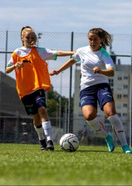Modul 1 - Webinar - Kinderfussball FF-Teams - Sport - Online - Virtual